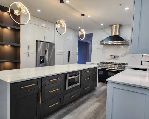 A Wide Variety of Countertops